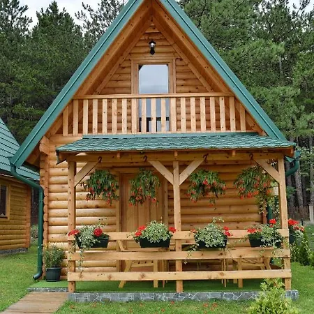 Brvnare Spasic * Vinci