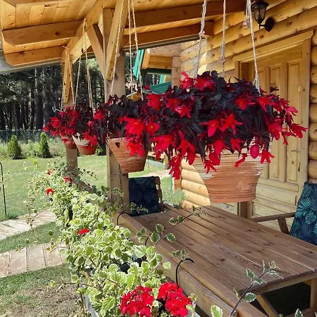 Brvnare Spasic Nyaraló