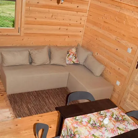 Brvnare Spasic Holiday home